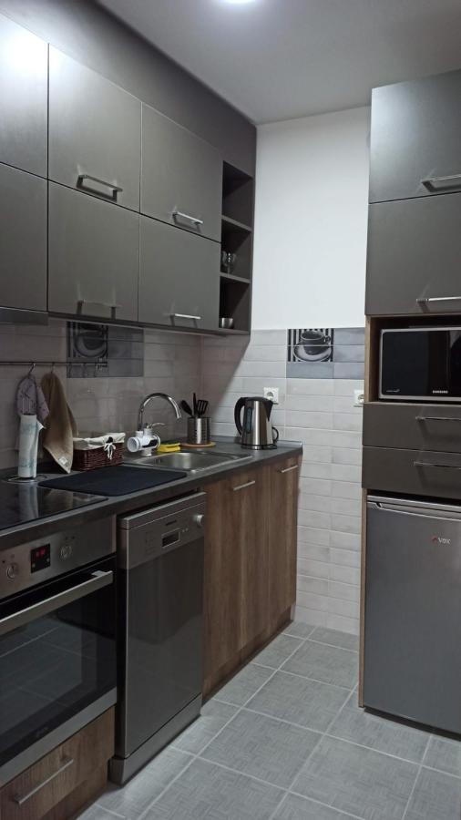 Luxury Apartments Parking In Garage Nis Exterior foto